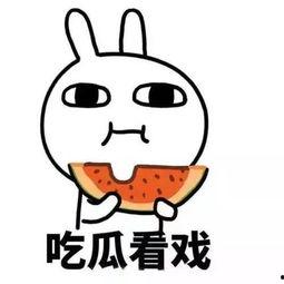 娱乐吃瓜酱不懂就问,不懂就问，揭秘娱乐圈那些事儿